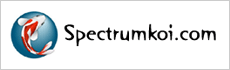 Spectrumkoi..com